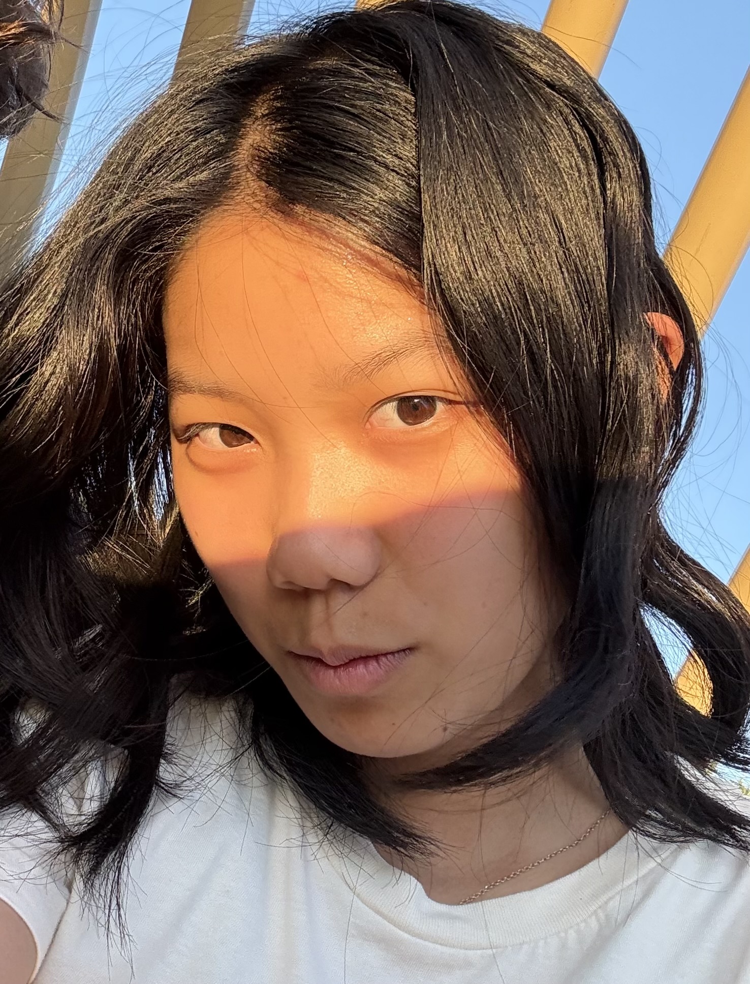 Lisa Zheng